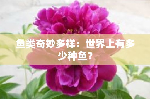 鱼类奇妙多样：世界上有多少种鱼？