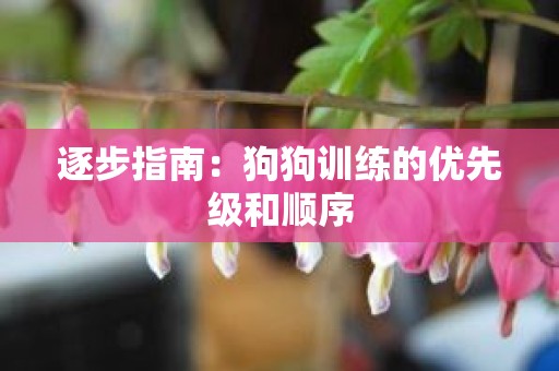 逐步指南：狗狗训练的优先级和顺序