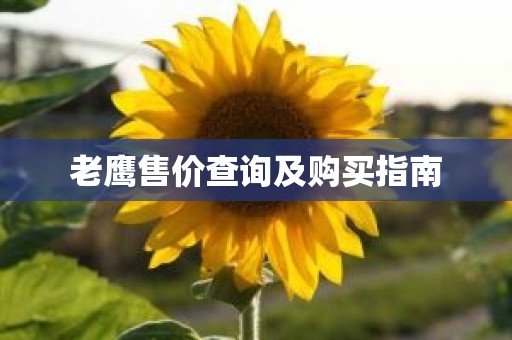 老鹰售价查询及购买指南