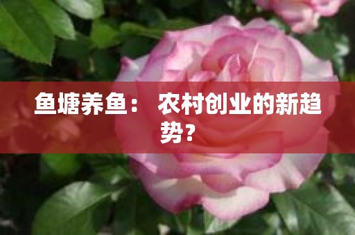 鱼塘养鱼： 农村创业的新趋势？