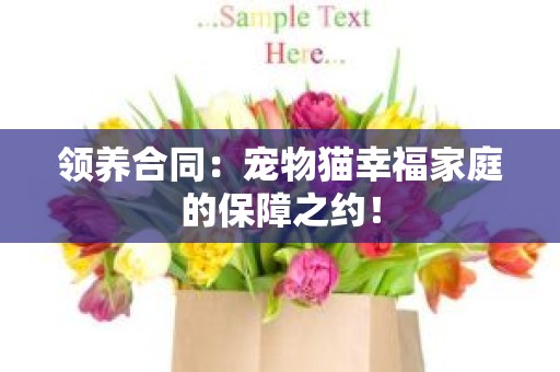 领养合同：宠物猫幸福家庭的保障之约！