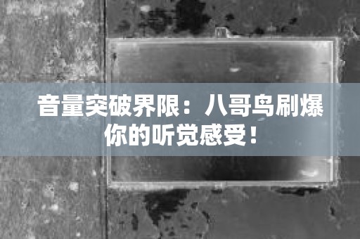 音量突破界限：八哥鸟刷爆你的听觉感受！