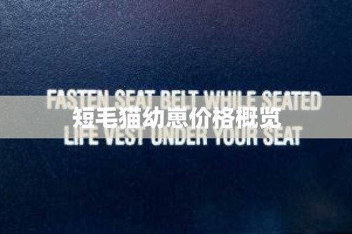 短毛猫幼崽价格概览