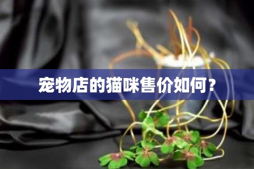 宠物店的猫咪售价如何？