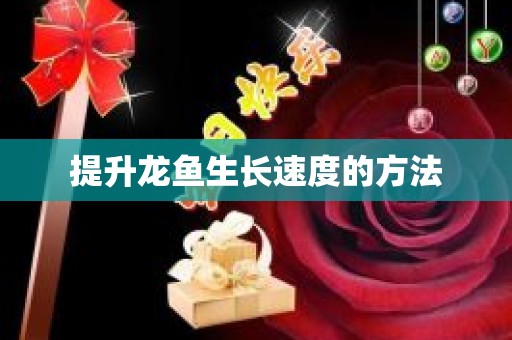 提升龙鱼生长速度的方法