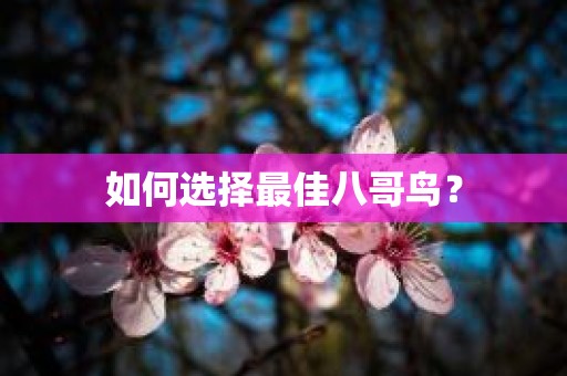 如何选择最佳八哥鸟？