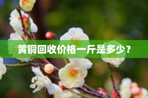 黄铜回收价格一斤是多少？