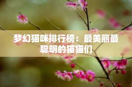 梦幻猫咪排行榜：最美丽最聪明的猫猫们