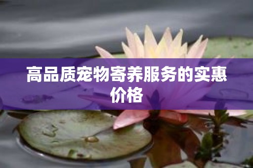 高品质宠物寄养服务的实惠价格