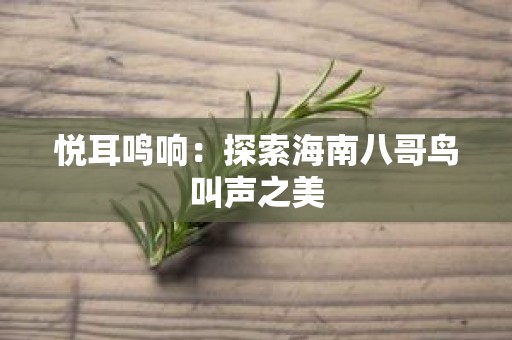 悦耳鸣响：探索海南八哥鸟叫声之美