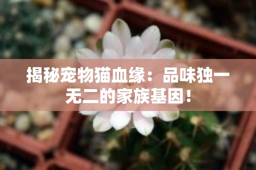 揭秘宠物猫血缘：品味独一无二的家族基因！