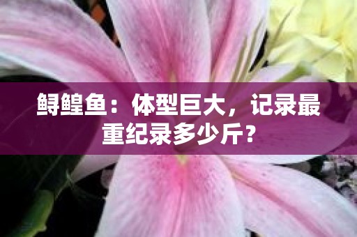 鲟鳇鱼：体型巨大，记录最重纪录多少斤？