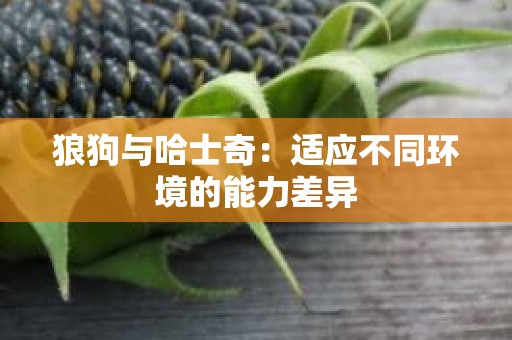 狼狗与哈士奇：适应不同环境的能力差异