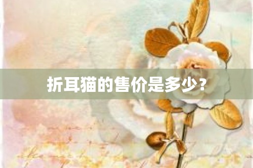 折耳猫的售价是多少？