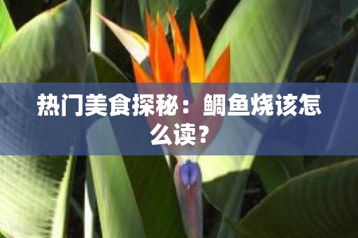 热门美食探秘：鲷鱼烧该怎么读？