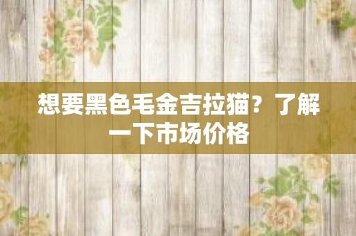 想要黑色毛金吉拉猫？了解一下市场价格
