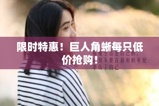 限时特惠！巨人角蜥每只低价抢购！