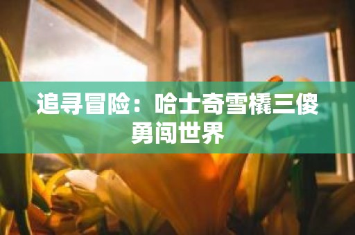 追寻冒险：哈士奇雪橇三傻勇闯世界