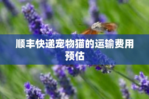顺丰快递宠物猫的运输费用预估