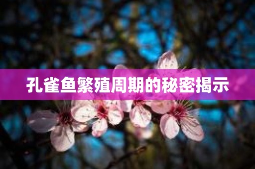 孔雀鱼繁殖周期的秘密揭示