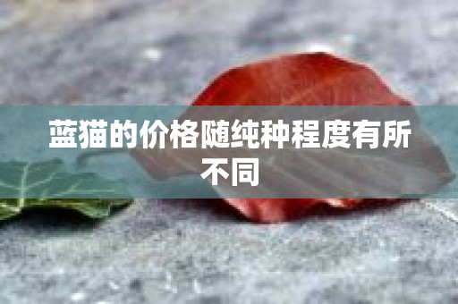 蓝猫的价格随纯种程度有所不同