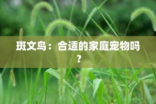 斑文鸟：合适的家庭宠物吗？