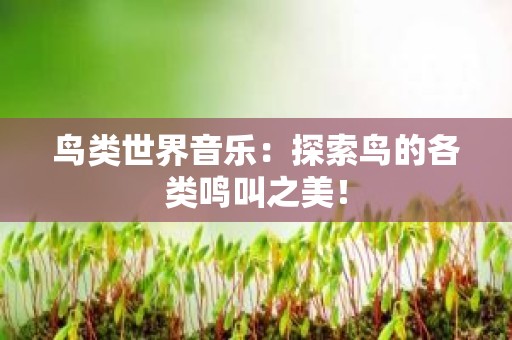 鸟类世界音乐：探索鸟的各类鸣叫之美！