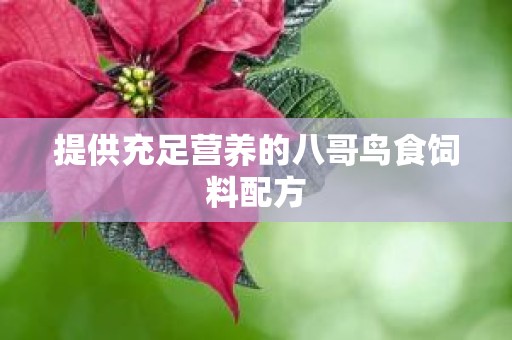提供充足营养的八哥鸟食饲料配方