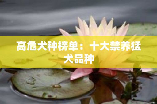 高危犬种榜单：十大禁养猛犬品种