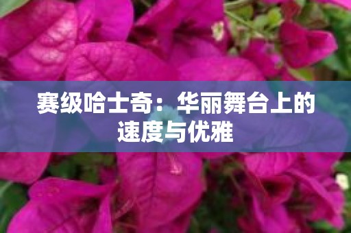 赛级哈士奇：华丽舞台上的速度与优雅