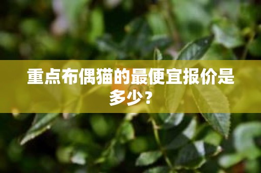 重点布偶猫的最便宜报价是多少？