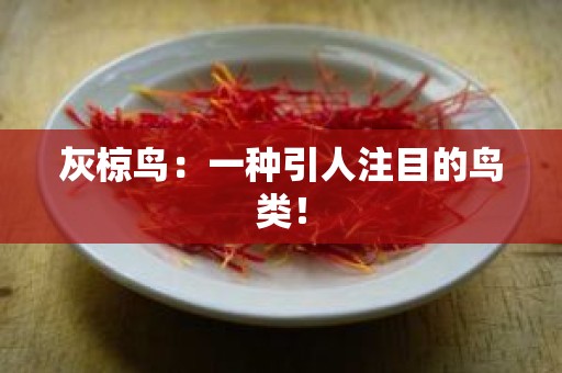 灰椋鸟：一种引人注目的鸟类！