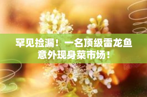 罕见捡漏！一名顶级雷龙鱼意外现身菜市场！