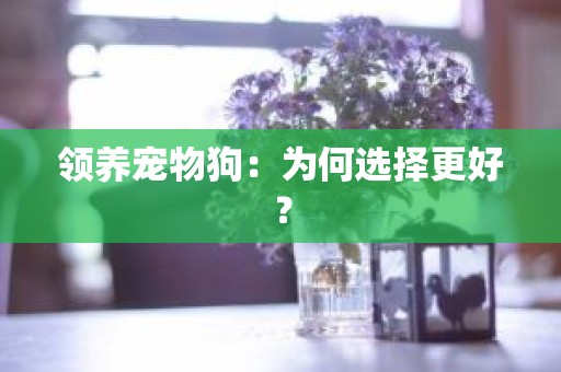 领养宠物狗：为何选择更好？