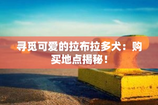 寻觅可爱的拉布拉多犬：购买地点揭秘！
