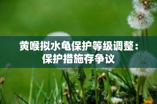 黄喉拟水龟保护等级调整：保护措施存争议