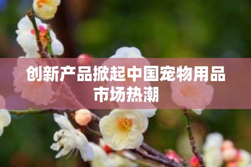 创新产品掀起中国宠物用品市场热潮