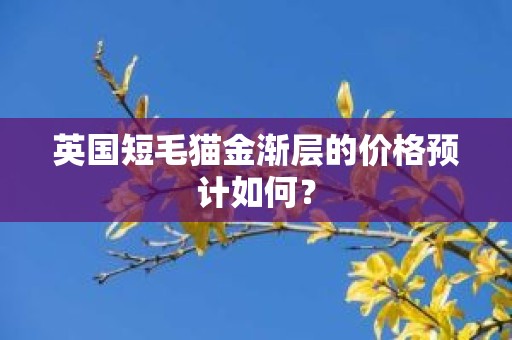 英国短毛猫金渐层的价格预计如何？