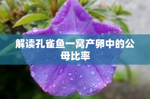 解读孔雀鱼一窝产卵中的公母比率