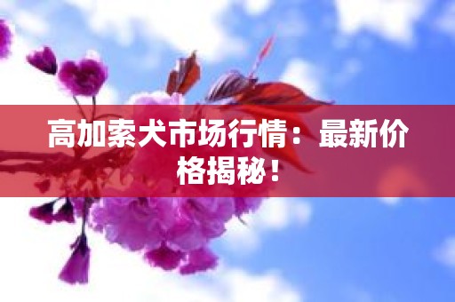高加索犬市场行情：最新价格揭秘！