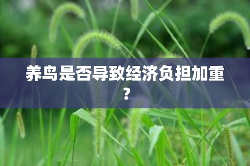养鸟是否导致经济负担加重？