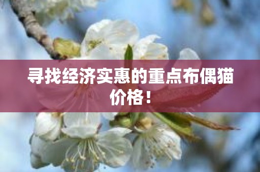 寻找经济实惠的重点布偶猫价格！