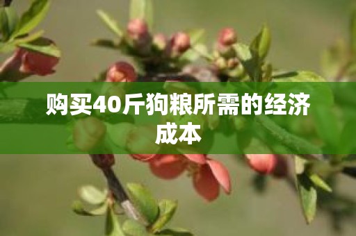 购买40斤狗粮所需的经济成本