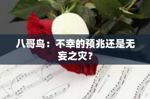 八哥鸟：不幸的预兆还是无妄之灾？