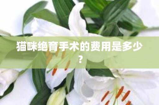 猫咪绝育手术的费用是多少？