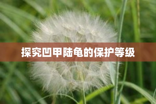 探究凹甲陆龟的保护等级