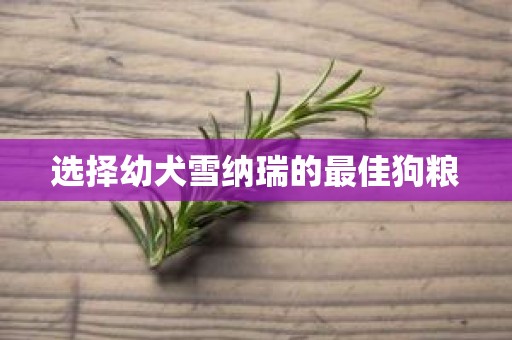 选择幼犬雪纳瑞的最佳狗粮