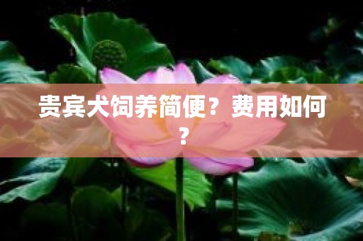 贵宾犬饲养简便？费用如何？