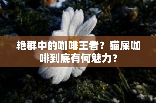 艳群中的咖啡王者？猫屎咖啡到底有何魅力？