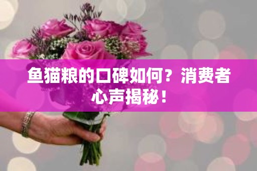 鱼猫粮的口碑如何？消费者心声揭秘！